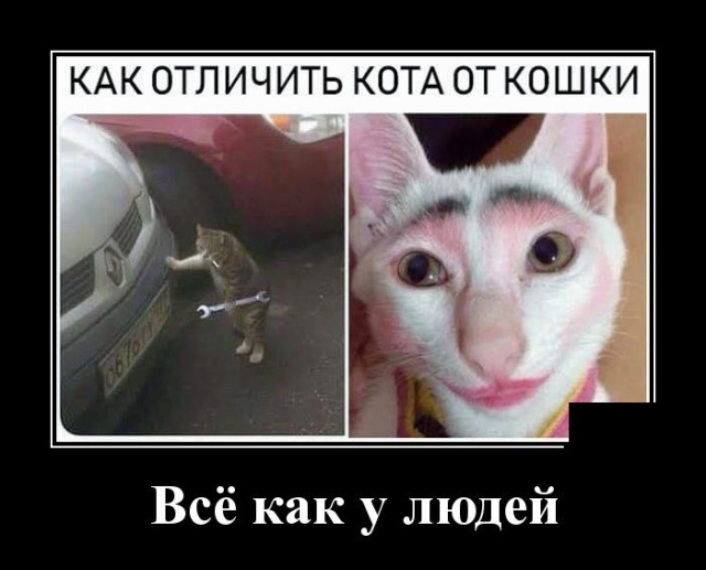 Демотиваторы