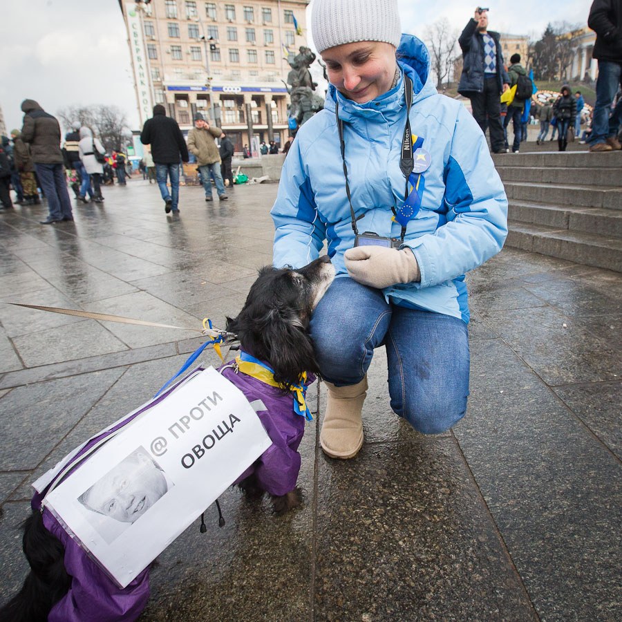 Евромайдан. Ситуация в Киеве Евромайдан. Ситуация в Киеве