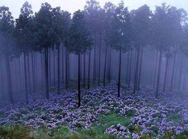 Фотографии, которые скажут больше чем слова