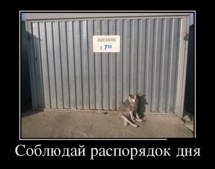 Демотиваторы