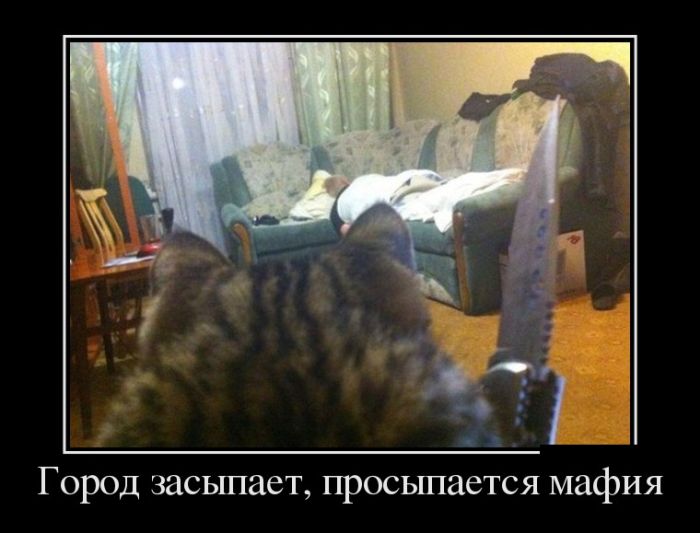 Демотиваторы