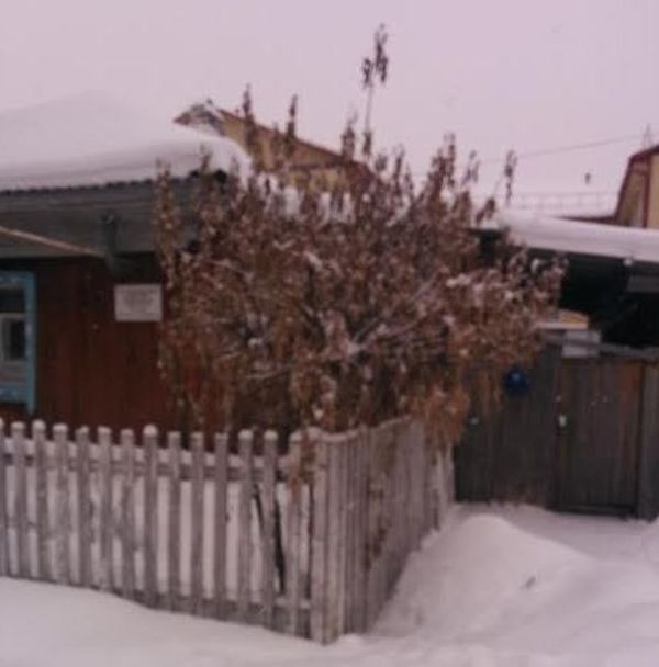 В Тюменской области чиновники спили новогоднюю елку в палисаднике у старушки