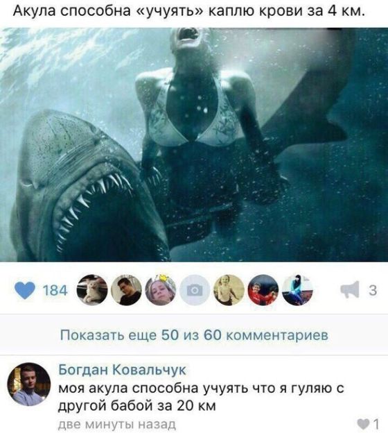 Юмор соцсетей