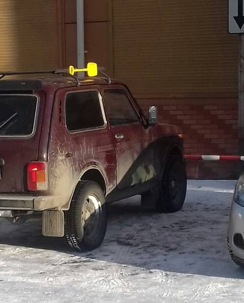 Прикольные картинки