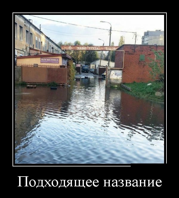 Демотиваторы