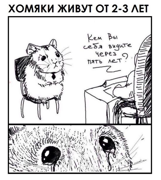 Смешные комиксы