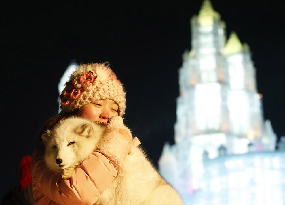 Фестиваль льда и снега в Харбине 2015 Фестиваль льда и снега в Харбине 2015