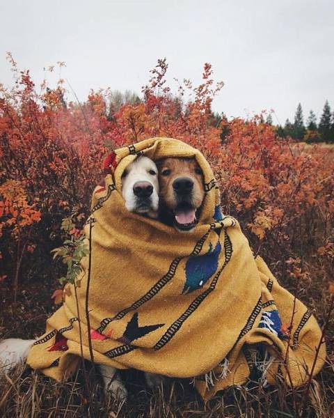Манящие путешествия