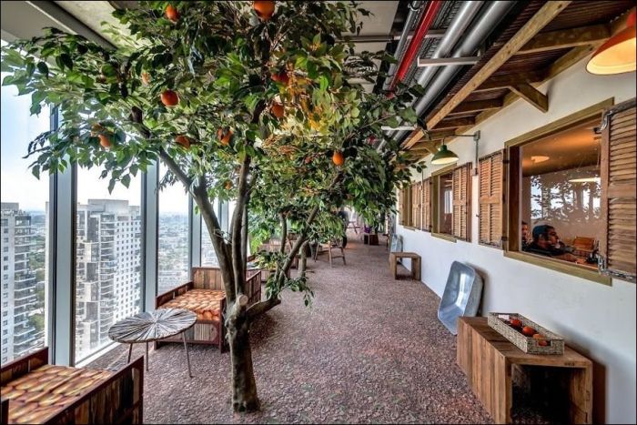 Новый офис Google в Тель-Авиве (35 фото)