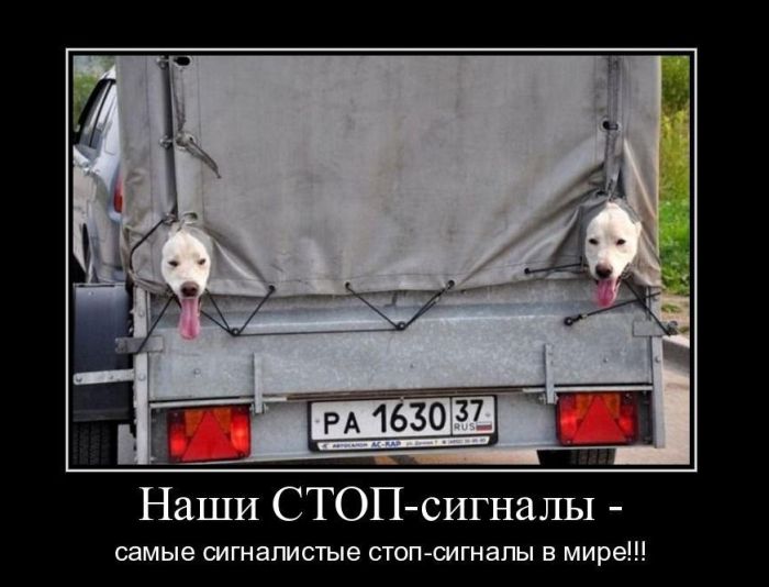 Демотиваторы