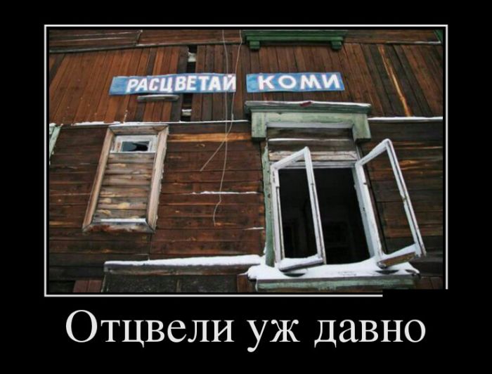Демотиваторы
