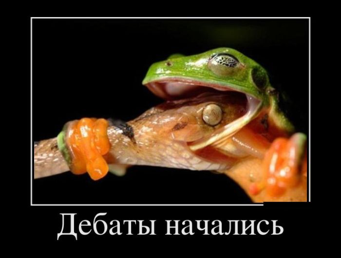 Демотиваторы