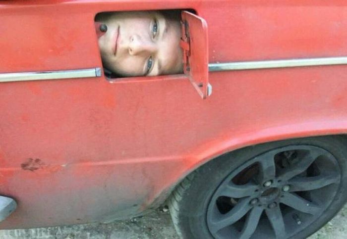 Прикольные картинки