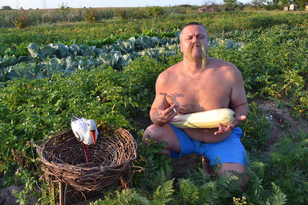 В социальных сетях еще долго будет весело