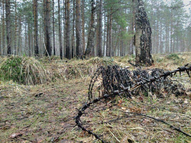 Шрамы которые оставила война