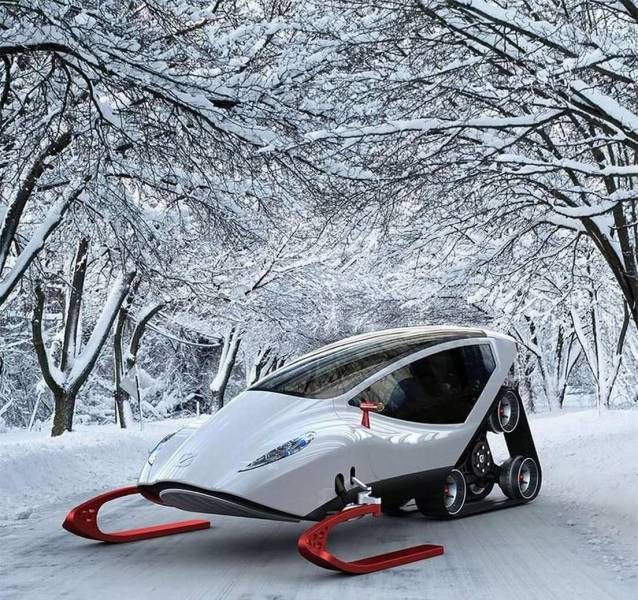 Прикольные картинки