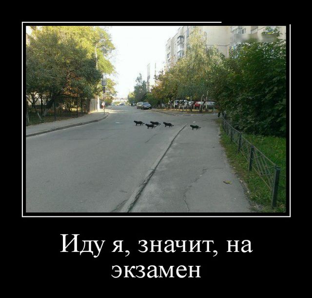 Демотиваторы