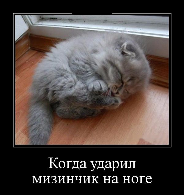 Демотиваторы