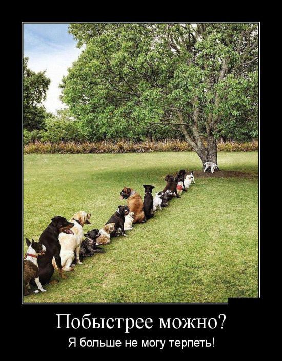 Демотиваторы