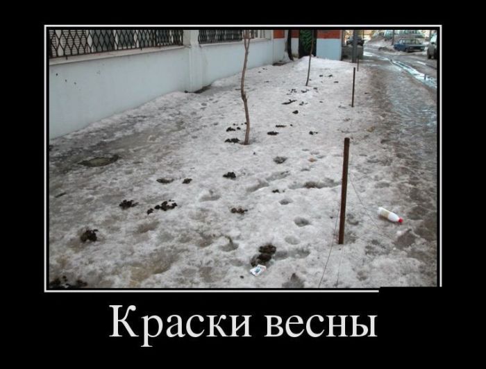 Демотиваторы