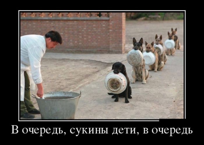 Демотиваторы