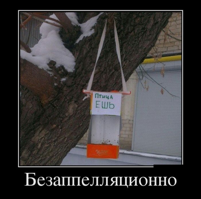 Демотиваторы