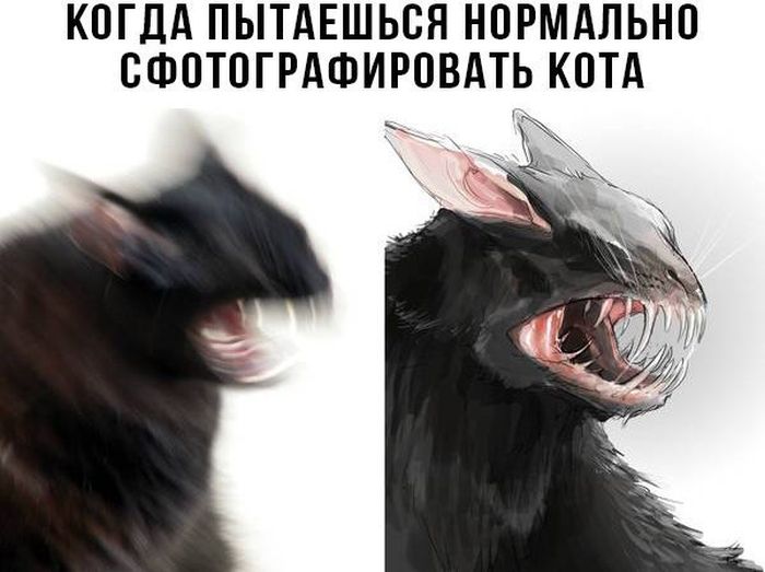Прикольные картинки