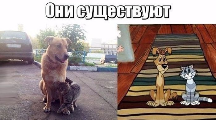 Прикольные картинки