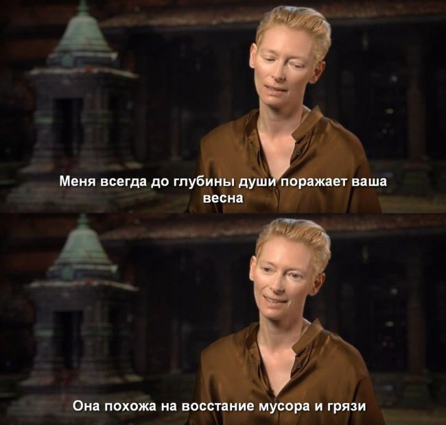 Прикольные картинки