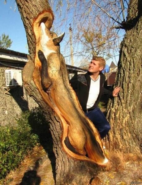 Прикольные картинки