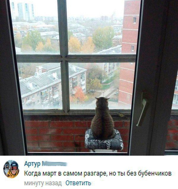 Прикольные картинки