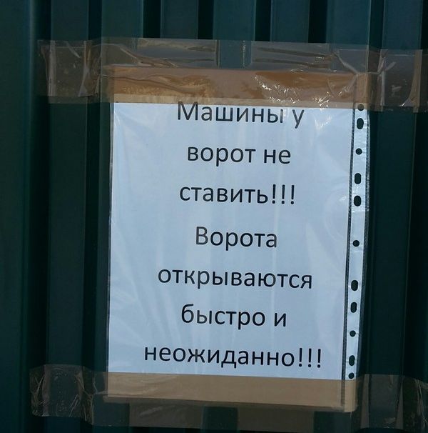 Прикольные картинки