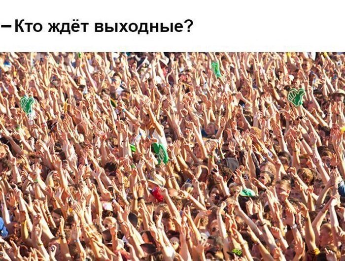 Прикольные картинки