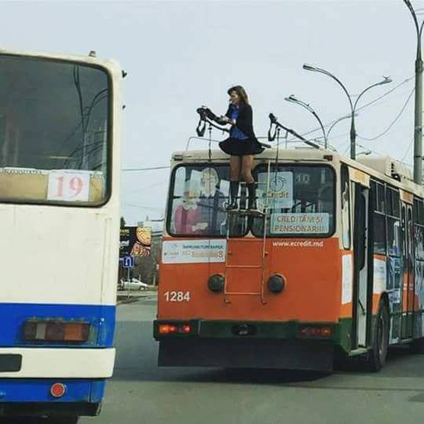 Прикольные картинки