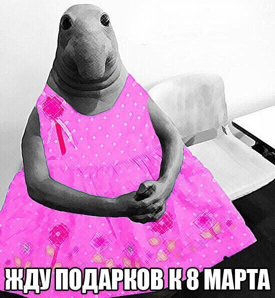 Сборник приколов в честь 8 марта