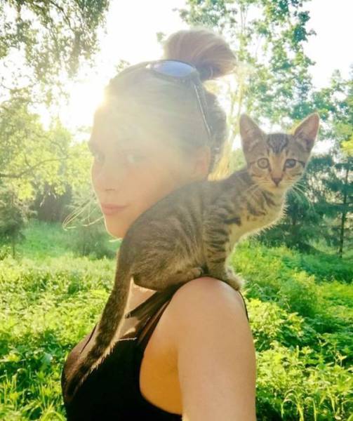 Девушка спасает бездомных кошек и находит им хозяев
