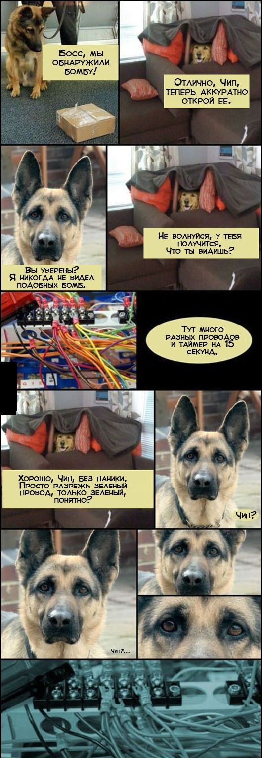 Веселые комиксы