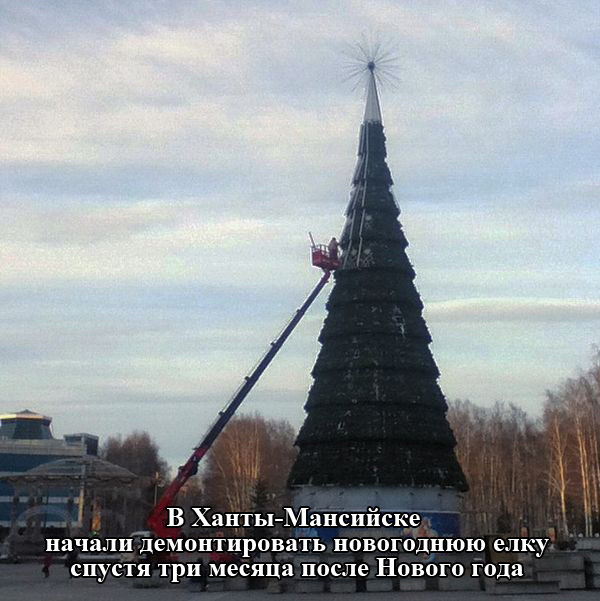 Порция картинок