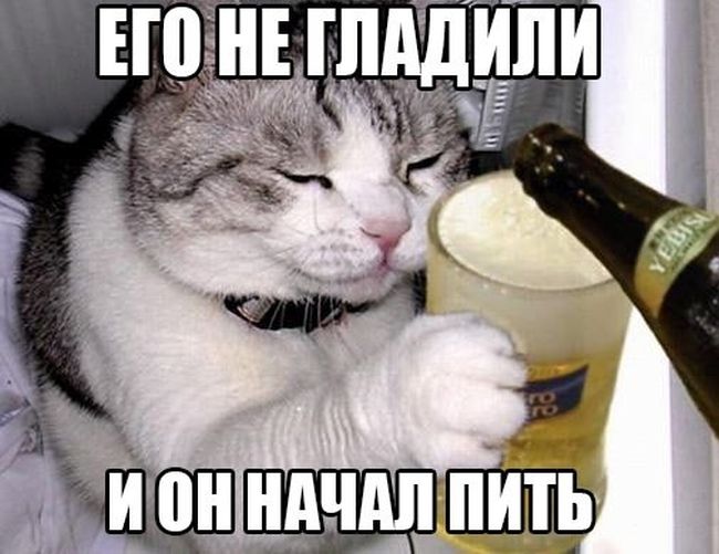 Порция картинок