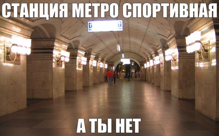 Порция картинок