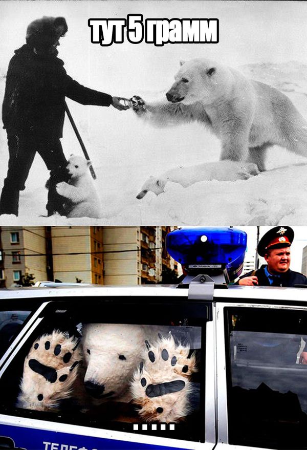 Порция картинок