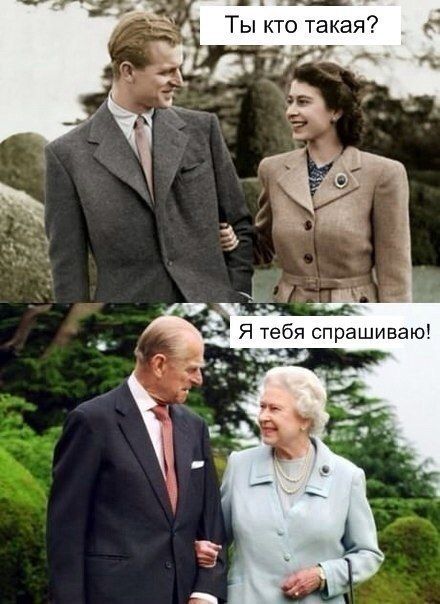 Порция картинок