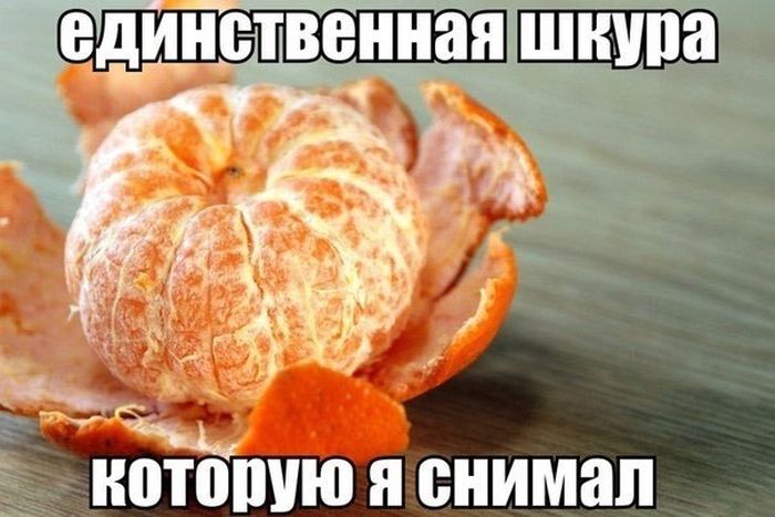 Порция картинок