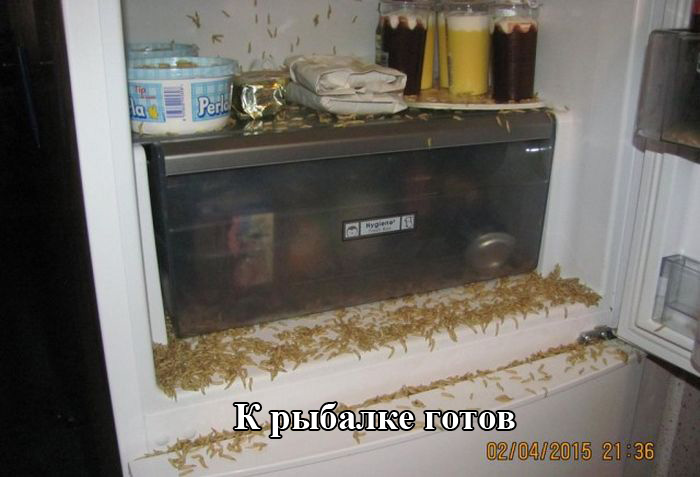Порция картинок