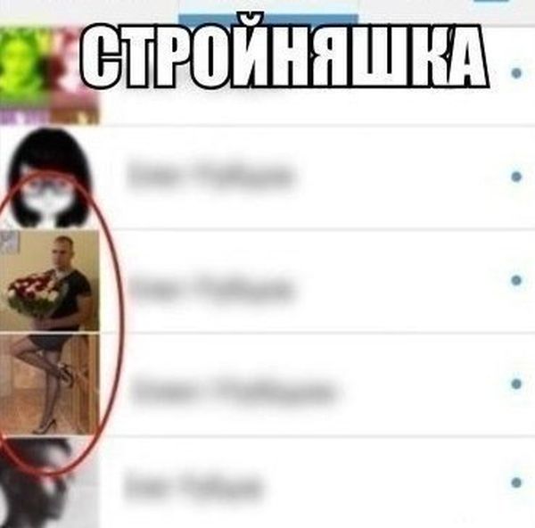 Порция картинок
