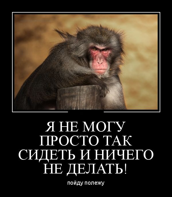 Демотиваторы