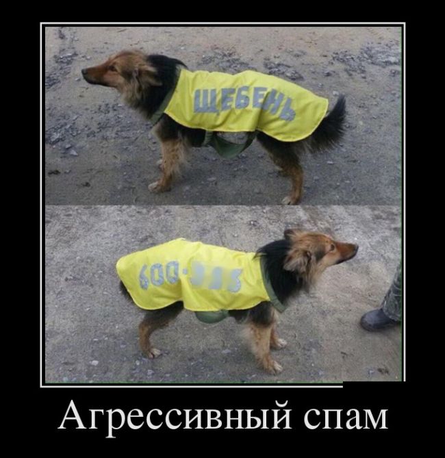 Демотиваторы