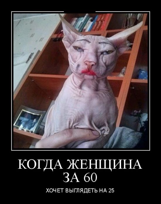 Демотиваторы