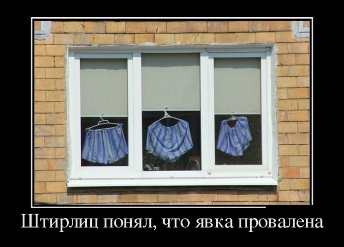 Демотиваторы
