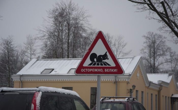 Авто приколы